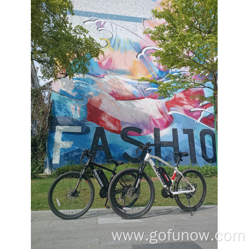 Electric Bike 350W Electric Bicycle mountain Bike